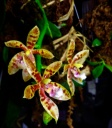 image~188.jpg