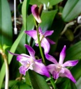 image~198.jpg