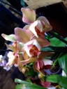 image~42.jpg