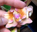 image~43.jpg