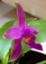 image~76.jpg