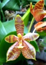 image~79.jpg