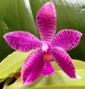 image~81.jpg