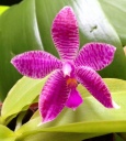 image~82.jpg