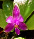 image~92.jpg