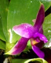 image~93.jpg