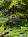 image~97.jpg