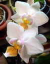 photo_3~0.JPG