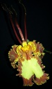 Psychopsis_Mariposa_Mai_2014.jpg
