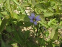 0000_photos_28229.JPG