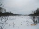 Hiver_abitibien_pm.jpg