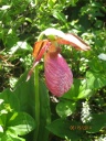 IMG_0014.JPG