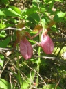 IMG_0015.JPG