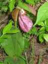 IMG_0020.JPG