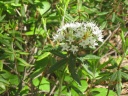 IMG_0076.JPG
