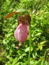 IMG_0079.JPG