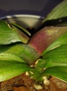20140602_125707_28229.jpg