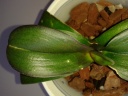 20140602_125755_28229.jpg