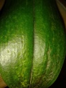 Nom du fichier=unnamed.jpg
Taille du fichier=55Ko
Dimensions : 309x412
Ajouté le : 16 Août 2014 unnamed.jpg