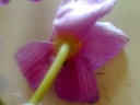Photo0049.jpg