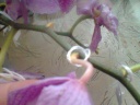 Photo0055.jpg