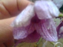 Photo0060.jpg