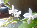 Photo0075.jpg