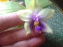 Photo0077.jpg