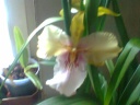 Photo0079.jpg