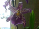 Photo0082.jpg