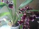 Photo0087~0.jpg