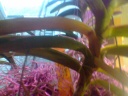 Photo0125.jpg
