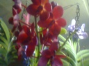 photo0101.jpg