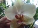 photo0102.jpg