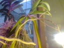 photo0124.jpg