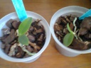 photo0135.jpg