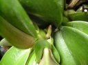 DSCN5422.JPG