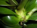 DSCN5428.JPG