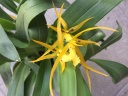 Nom du fichier=IMG_3878.JPG
Taille du fichier=136Ko
Dimensions : 800x600
Ajouté le : 09 Juillet 2017 IMG_3878.JPG