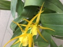 Nom du fichier=IMG_3880.JPG
Taille du fichier=136Ko
Dimensions : 800x600
Ajouté le : 09 Juillet 2017 IMG_3880.JPG