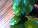 photo_28429~0.JPG