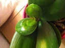 photo_28829.JPG