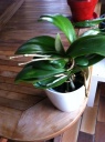 photo_3~3.JPG