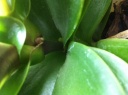 photo_4~0.JPG