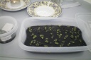 Nom du fichier=100_0565.JPG
Taille du fichier=132Ko
Dimensions : 800x533
Ajouté le : 01 Février 2015 100_0565.JPG