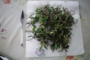 Nom du fichier=100_0593.JPG
Taille du fichier=135Ko
Dimensions : 800x533
Ajouté le : 15 Février 2015 100_0593.JPG
