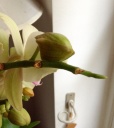 Nom du fichier=image~0.jpg
Taille du fichier=160Ko
Dimensions : 716x800
Ajouté le : 29 Janvier 2015 image~0.jpg