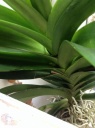 image~36.jpg
