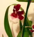 image~5.jpg