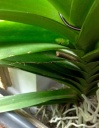 image~56.jpg